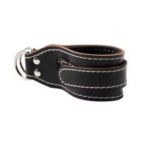 רצועת פולי מעור