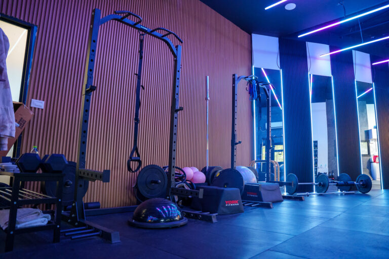 חצי כלוב משקולות מקצועי – לעבודה חופשית ובטוחה- שיר פיטנס נשר